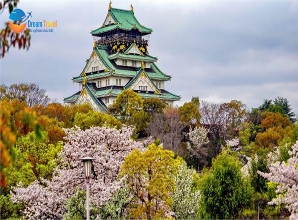 [HCM] Tour Nhật Bản Hành Trình Vàng Mùa Hoa Anh Đào Hot 2026